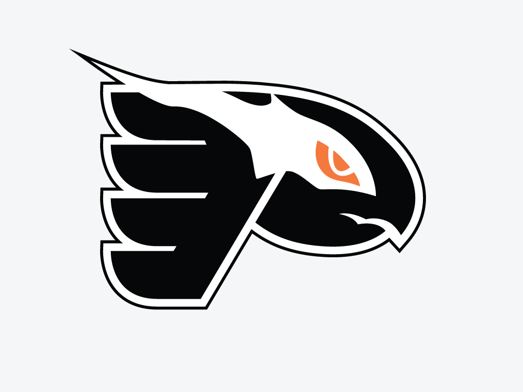 Philadelphia Flying Shadow logo iron on transfers